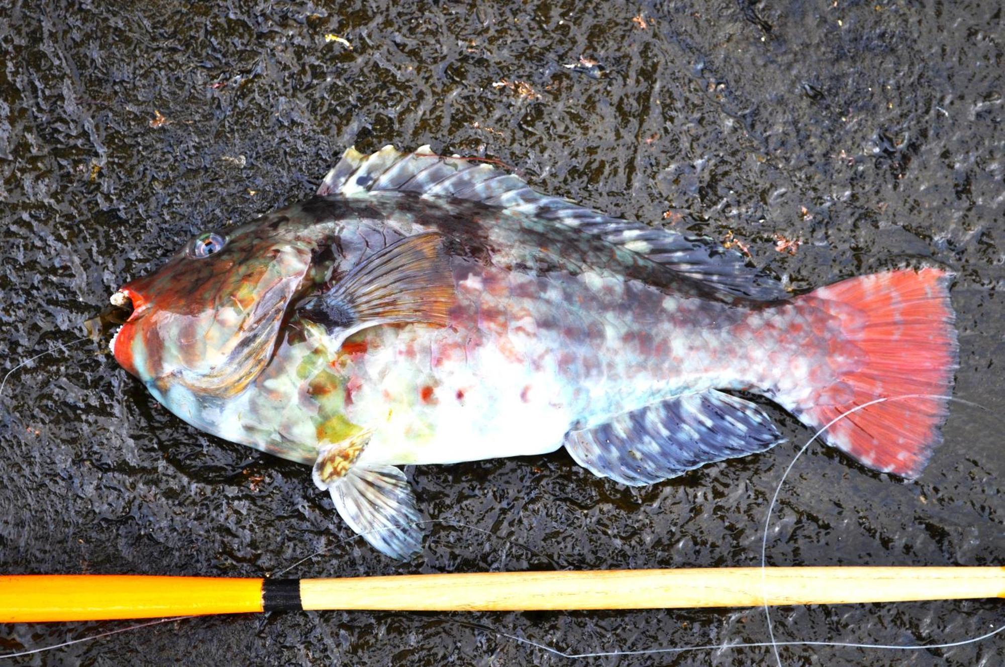 ホテル Ajito 大島 エクステリア 写真
